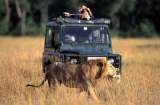 Profile Photos of Safari Adventures Kenya