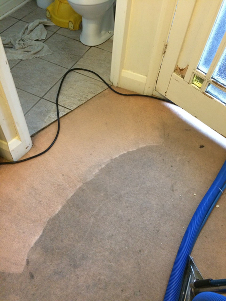 Profile Photos of Prolux Cleaning 5 Shepperton Close BOREHAMWOOD WD6 5NT - Photo 2 of 4
