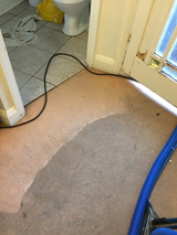  Prolux Cleaning 5 Shepperton Close BOREHAMWOOD WD6 5NT 