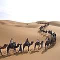 Camel Trekking IN Desert Merzouga of Morocco-Desert-Safari.com
