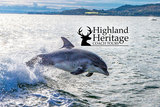 Witness amazing Scottish Se life with with Highland Heritage Coach Tours