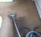  Profile Photos of Carpet Cleaning Barnes 373 Lonsdale Rd - Photo 4 of 6