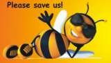  AA Bee Removals 31 Cowley Road 