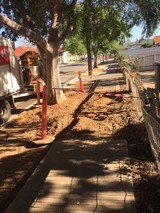 Profile Photos of Tree Removal Service Adelaide