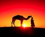 Profile Photos of Merzouga Camel Trekking