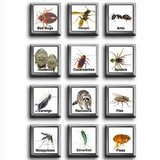 Profile Photos of Reliable Pest Control