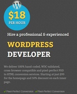 Wordpress Developer