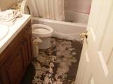 Profile Photos of Clear Sky Water Damage of Brooklyn NY