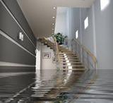Profile Photos of Clear Sky Water Damage of Brooklyn NY