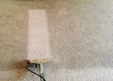 Profile Photos of Carpet Cleaning