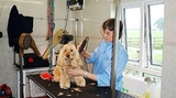  Dog grooming parlour in chester and ShrewsBury - Park Lane Kennels, UK Park Lane Executive Kennels Moss View Farm Parkside 