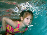 Profile Photos of SwimJim Swimming Lessons - Yorkshire Towers