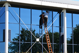 Profile Photos of Select Window Cleaning Services
