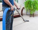 Coconut Creek Carpet Cleaning Specialists 2266 Seagrape Cir 