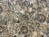 Profile Photos of Cornerstone Granite and Tile
