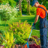 Profile Photos of Columbia Landscaping and Tree Care