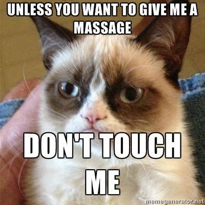 Grumpy Cat loves massage, (may be the only thing he likes) Massage of Massage Professionals of Jackson Hole Jackson Hole - Photo 16 of 19