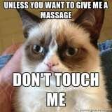 Grumpy Cat loves massage, (may be the only thing he likes) Massage Professionals of Jackson Hole Jackson Hole 