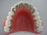 Profile Photos of Harmony Orthodontics