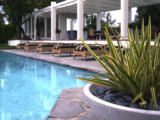 Profile Photos of Alpha and Omega Pool Services, LLC