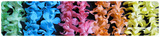  Best Flower Leis 851 Cherry Ave #27-542 