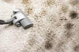 Wolf Carpet Cleaning, Moorpark