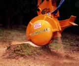 Profile Photos of Madison Stump Removal and Tree Services
