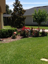 Profile Photos of The Other Side Lawn & Ornamental Pest Control Inc.