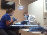 Dentist at work at Freedom Family Dentistry Fredericksburg, VA 22407 Freedom Family Dentistry 10039 Patriot Hwy 