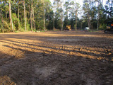 Dirtwirx Land Clearing, Tomball