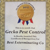 New Album of Gecko Pest Control