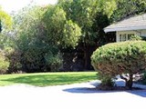 Profile Photos of Hutto Tree and Lawn Services