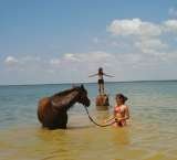 Profile Photos of Black Mustang Ranch - horseback riding in North Texas at Lantana Resort