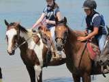 Profile Photos of Black Mustang Ranch - horseback riding in North Texas at Lantana Resort