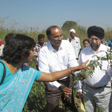 Ashok Jonwal Pacific  Herbs Agro Farms Pvt Ltd Pacific Agro, 