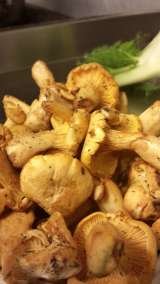 fresh girolles Perfect Chef 4 U Flat 1, 1 St Georges Place 