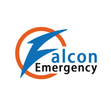 Profile Photos of Falcon Emergency Air and Train Ambulance Services in Delhi
