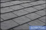 Profile Photos of State Roofing