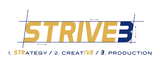  STRIVE3 11921 Freedom Drive, Suite 550 