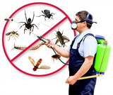 Pest Control Sevenoaks, Sevenoaks