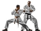 Profile Photos of Japan Karate Federation Tucson AZ LLC