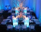 Profile Photos of CERF - Creative Event Rentals and Furnishings
