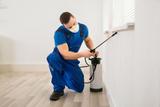 Profile Photos of Affordable Bed Bug Exterminators