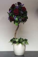Topiary suitable as Corporate or Wedding display. 