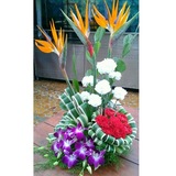 New Album of Mobile Flower Pune:Online Flower Delivery in Pune