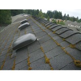  West Coast Roof Cleaning 3139 St Catherines St 