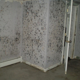 Mold Inspection & Testing Portland OR 11613 Beckman Ave 