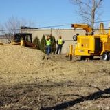  Edwards Tree & Land Clearing Services Inc 156 2nd St 