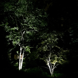 Profile Photos of Moonscape Landscape Illumination, LLC