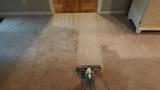Profile Photos of Spiker Carpet and Tile Care